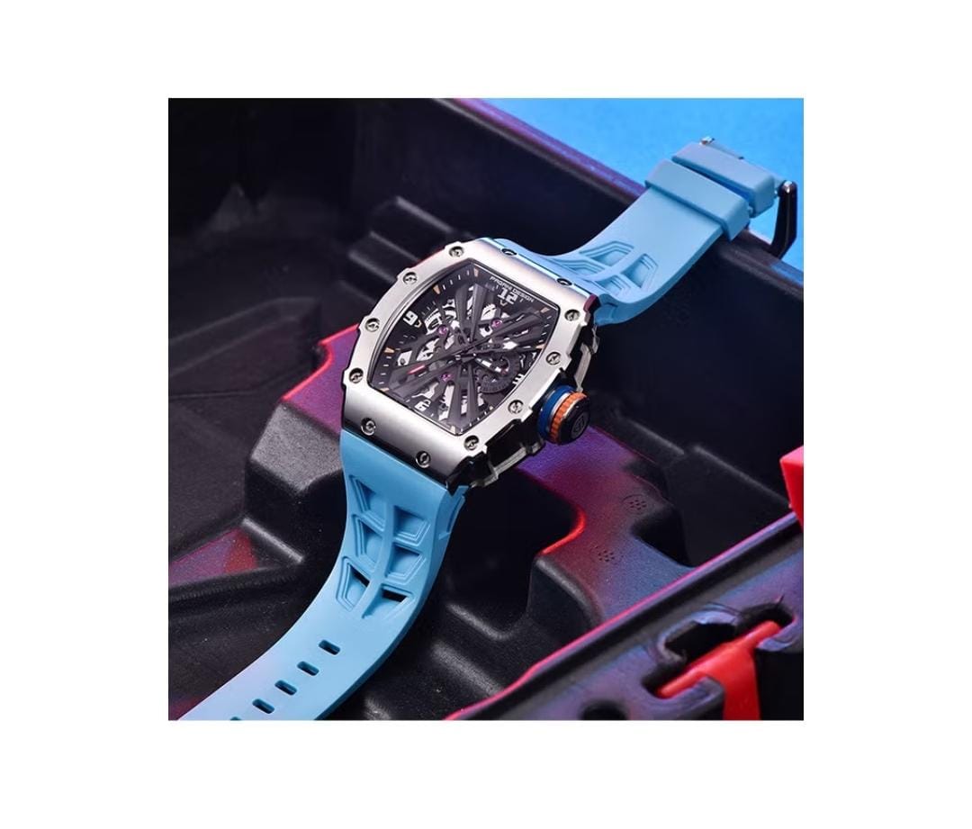 PAGANI DESIGN Men's Classic Luxury Watch